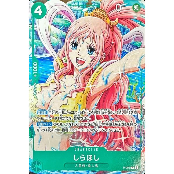 P-091 Shirahoshi (March 2025 Meet-up event) JAP