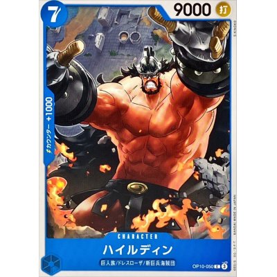 OP10-050 C Hajrudin EN